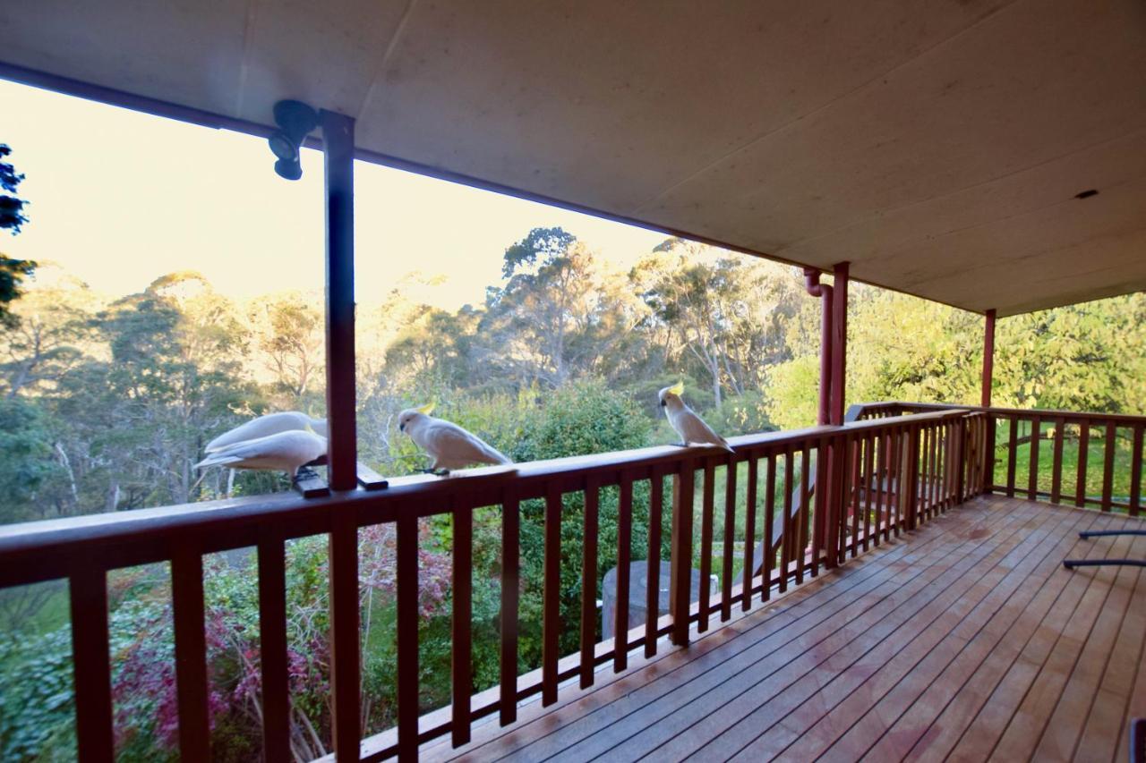 Villa Shiralee'S Rest Of Katoomba Esterno foto